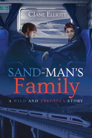 Cover of the book Sand-Man's Family by Nadine Bayonne