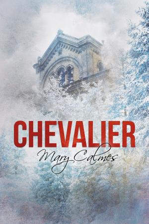 Cover of the book Chevalier by S.E. Burr
