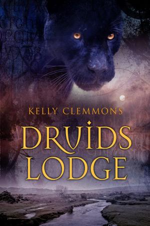 Cover of the book Druids Lodge by M.J. O'Shea