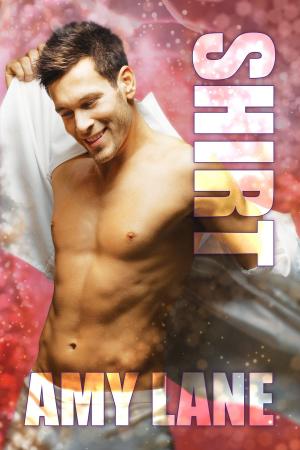 Cover of the book Shirt by Mary Calmes