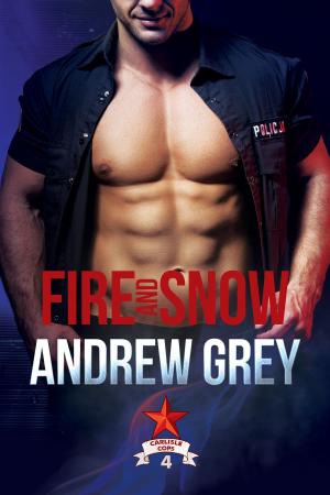 Cover of the book Fire and Snow by Sara Stark