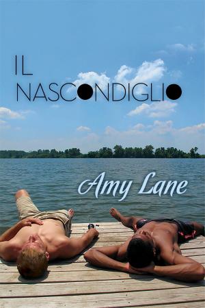 Cover of the book Il nascondiglio by John Inman