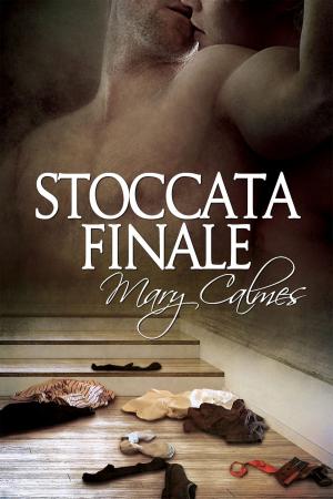Cover of the book Stoccata finale by Mary Calmes