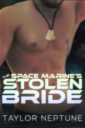 Cover of the book The Space Marine's Stolen Bride by Alyse Zaftig, Eva Wilder
