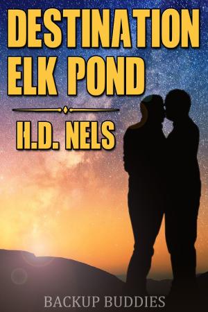 bigCover of the book Destination Elk Pond by 