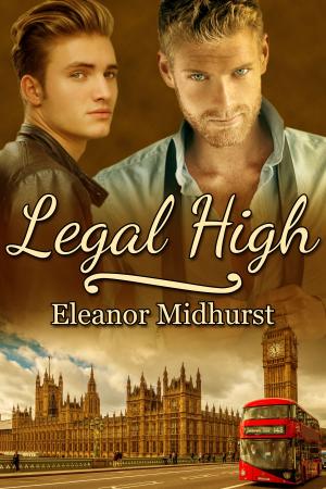 Cover of the book Legal High by R.W. Clinger