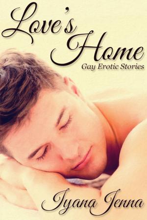 Cover of the book Love's Home Box Set by Michael P. Thomas