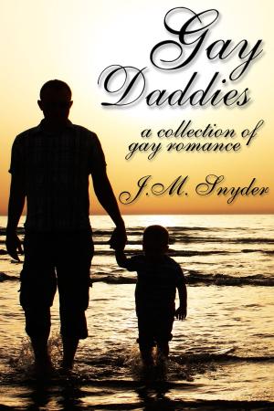 Cover of the book Gay Daddies Box Set by Ruby Moone