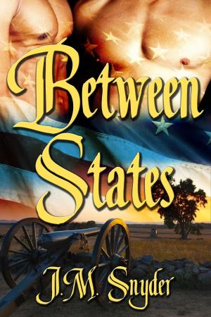 Cover of the book Between States Box Set by T.A. Creech