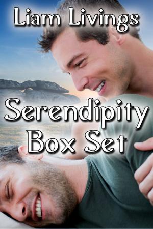 Cover of the book Serendipity Box Set by Casper Graham