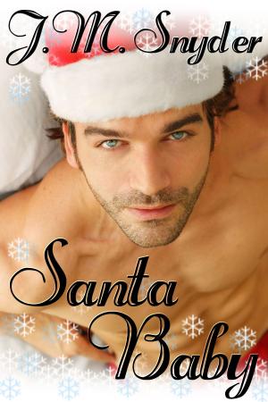 Cover of the book Santa Baby Box Set by J.M. Snyder