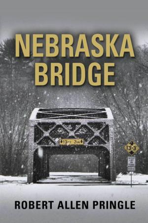 Cover of the book NEBRASKA BRIDGE by Bucky Colwell Cameron