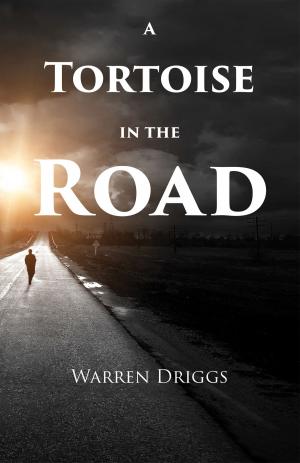 bigCover of the book A Tortoise in the Road by 