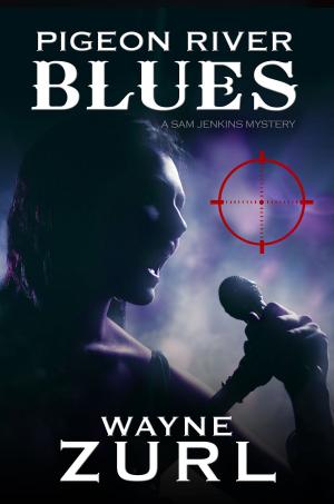 Cover of the book Pigeon River Blues by K.M. Spires