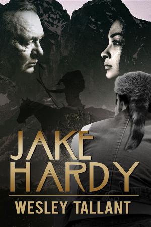 Cover of the book Jake Hardy by Jill Wallace