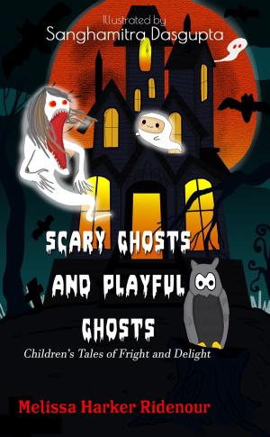 Cover of the book Scary Ghosts and Playful Ghosts by John L.D. Barnett