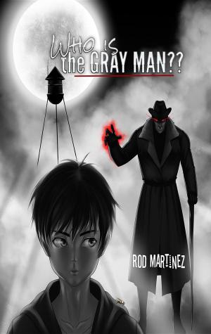 Cover of the book Who Is The Gray Man by Jane Finch