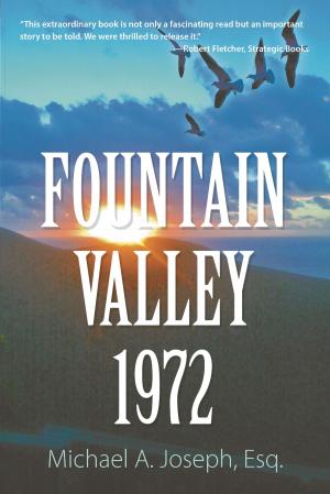 bigCover of the book Fountain Valley 1972 by 