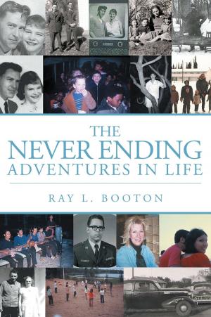 bigCover of the book The Never Ending Adventures in Life by 