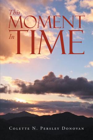 Cover of the book This Moment In Time by Susan G. Shumsky