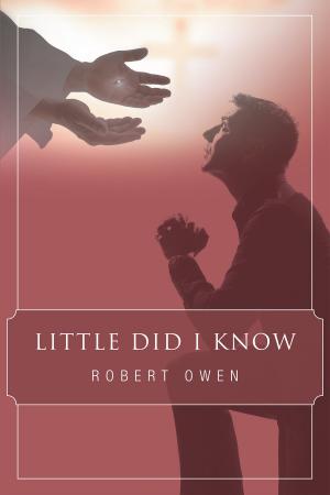Cover of the book Little Did I Know by Pastor Bernard J. Weathers