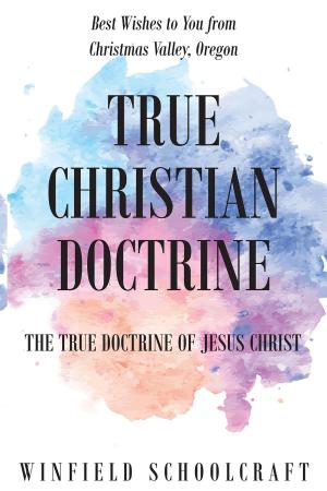 Cover of the book True Christian Doctrine by Matthew Duke Rodgers