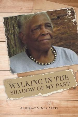 Cover of the book Walking in the Shadow of My Past by Dave Freeman