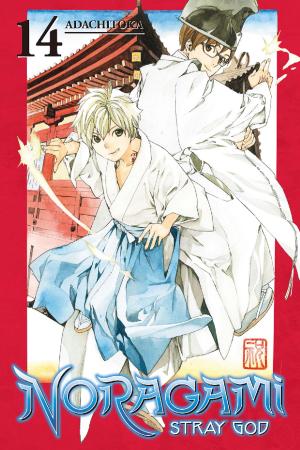 Book cover of Noragami: Stray God