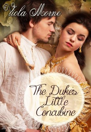 Cover of the book The Duke's Little Concubine by Amelia Wren