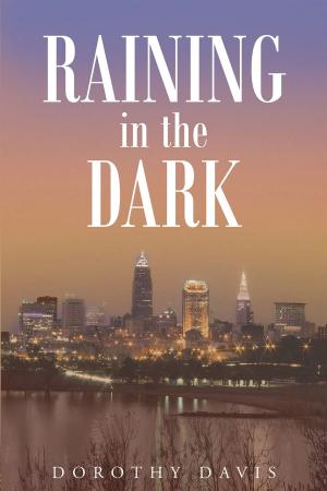 Cover of the book Raining in the Dark by M.R. CLARK
