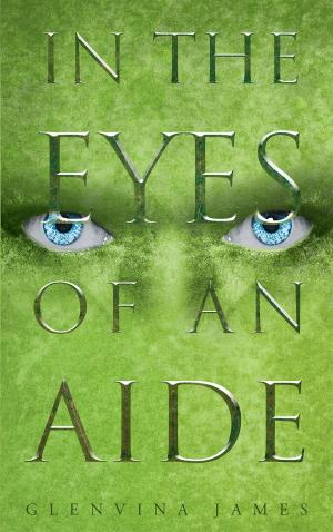 Cover of the book In the Eyes of an Aide by John Heru Aan Allsop
