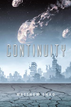 Cover of the book Continuity by L.P. Brezny