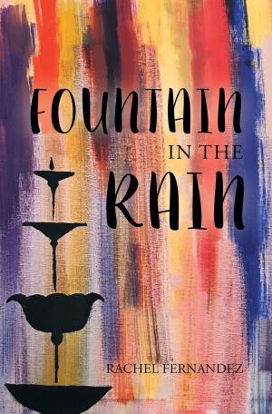 Cover of the book Fountain in the Rain by Suzenn Rofff