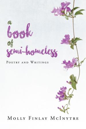 Cover of the book A Book of Semi-Homeless Poetry and Writings by Robert W. Stach