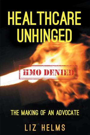 bigCover of the book Healthcare Unhinged: The Making of an Advocate by 