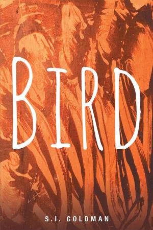 Cover of the book Bird by Cindy Robinson