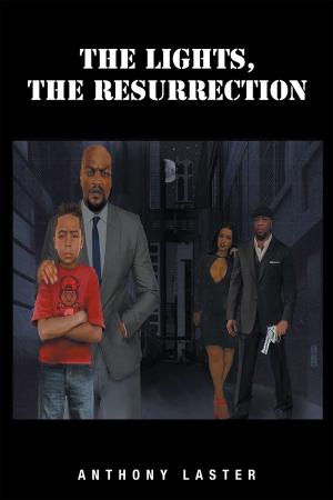 Cover of the book The Lights, The Resurrection by Dennis Stubblefield