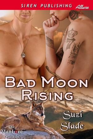 Cover of the book Bad Moon Rising by Claire Adele
