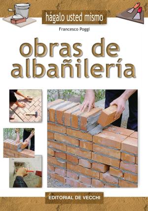 Cover of the book Obras de albañilería by Doris Saltarini