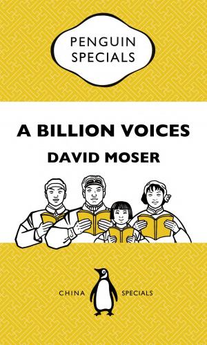 Cover of the book A Billion Voices: China's Search for a Common Language by Louise Cooper