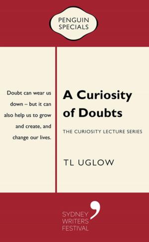 Cover of the book A Curiosity of Doubts by Helen Kelly