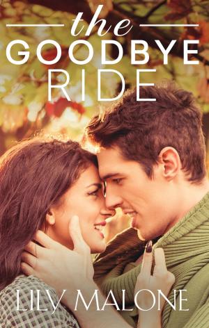 Book cover of The Goodbye Ride