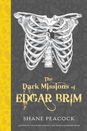 Cover of the book The Dark Missions of Edgar Brim by Susin Nielsen