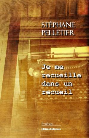 Cover of the book Je me recueille dans un recueil by Pierre Etienne