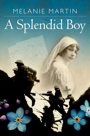 Cover of the book A Splendid Boy by Marie-Beth Wright