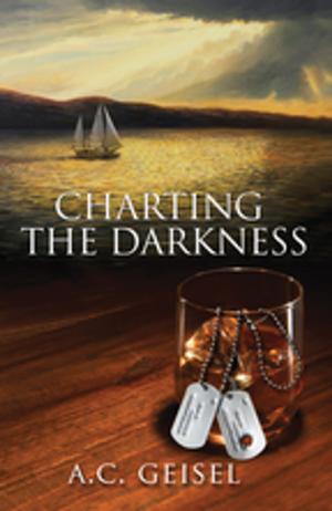 Cover of the book Charting the Darkness, A Novel by Terry Gibbs, PhD, Garry Leech, MA