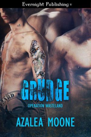 Cover of the book Grudge by Danica Avet