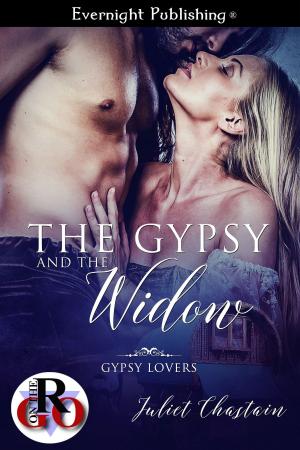 Cover of the book The Gypsy and the Widow by April Zyon