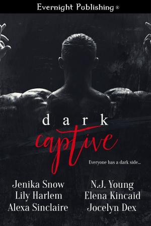 Cover of the book Dark Captive by Elena Kincaid