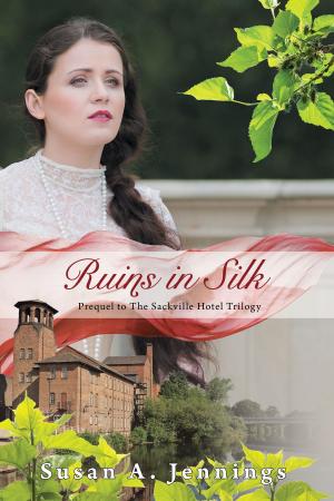 Cover of the book Ruins in Silk by Chris Meier